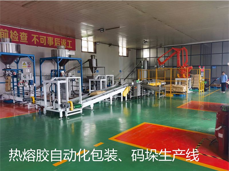 熱熔膠自動(dòng)化包裝、碼垛生產(chǎn)線